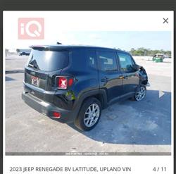 جيب رينيجيد